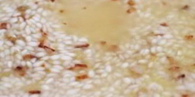 Рецепт ризотто с вялеными помидорами