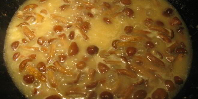 Рецепт зеленого ризотто с опятами и креветками