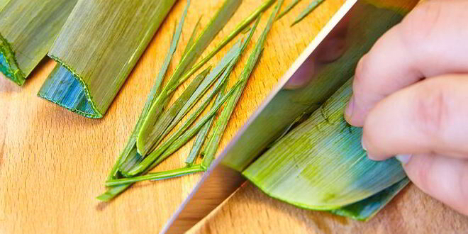 Рецепт филе палтуса en papillote