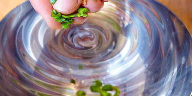 Рецепт филе палтуса en papillote