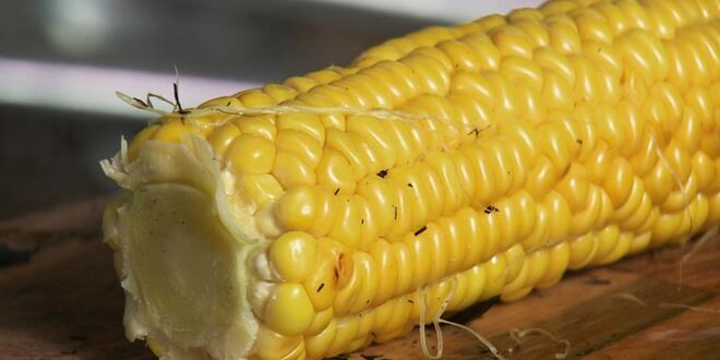 Рецепт филе судака с лимонным картофелем