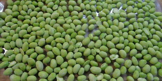 Рецепт лосося на подушке из соевых бобов и фенхеля