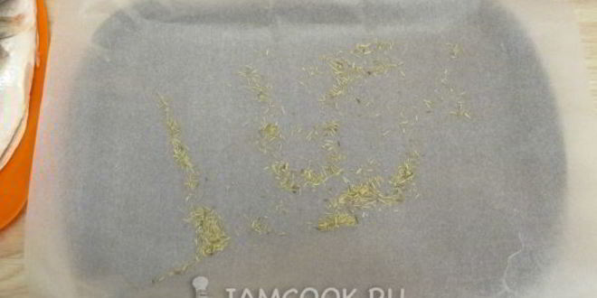 Рецепт сибаса в духовке