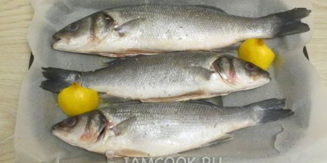 Рецепт сибаса в духовке