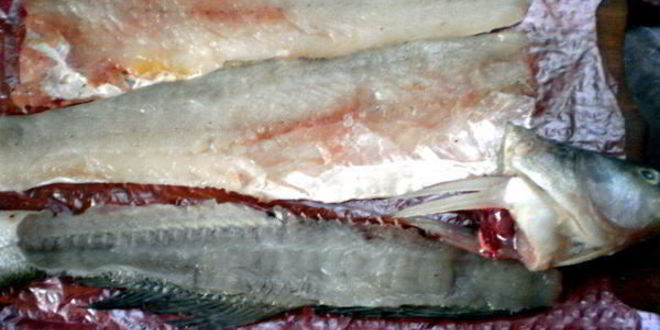 Рецепт судака по-средиземноморски