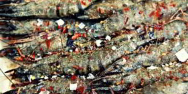 Рецепт тигровых креветок на мангале