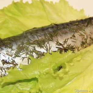 Рецепт Запеченой скумбрии