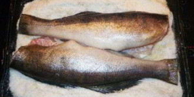 Рецепт запеченного судака в соли