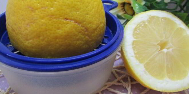 Рецепт шашлыка из курицы с овощами