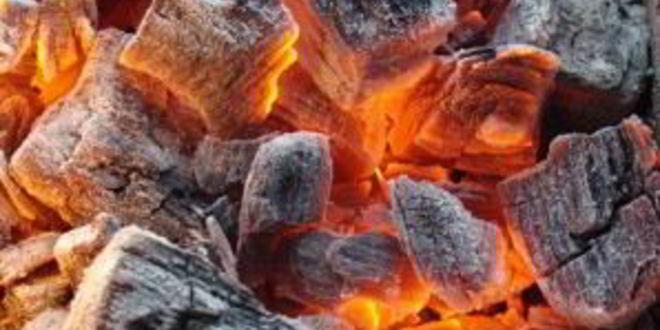 Рецепт шашлыка из курицы в майонезе