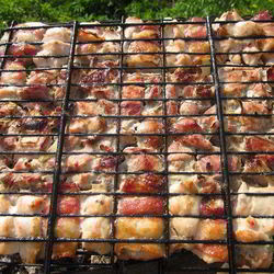 Рецепт Шашлыка из свинины и куриных грудок