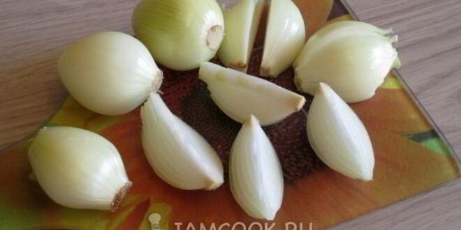 Рецепт шашлыка из свинины с луком в армянском маринаде