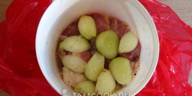 Рецепт шашлыка из свинины с луком в армянском маринаде