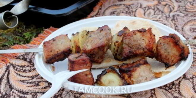 Рецепт шашлыка из свинины с луком в армянском маринаде