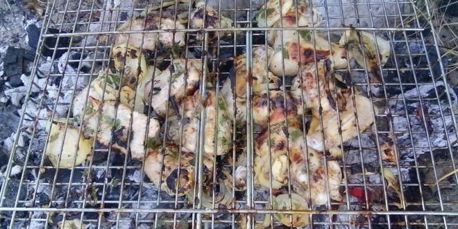 Рецепт шашлыка из свиных ребрышек