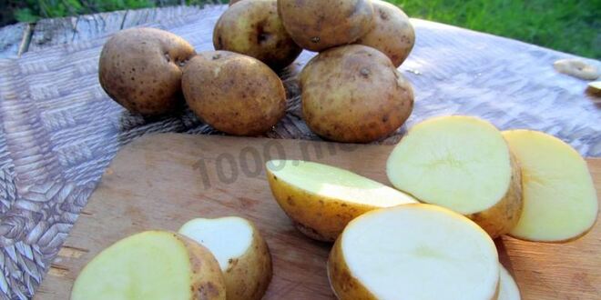 Рецепт шашлыка с салом и картошкой