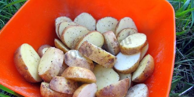 Рецепт шашлыка с салом и картошкой