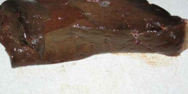 Рецепт шницелей куриных и печень с салатом