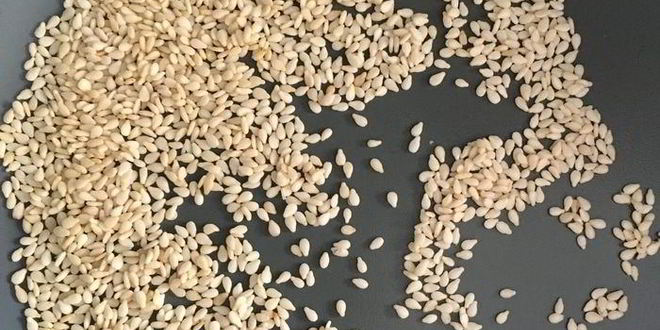 Рецепт домашних тефтелей в томатном соусе с зеленым булгуром