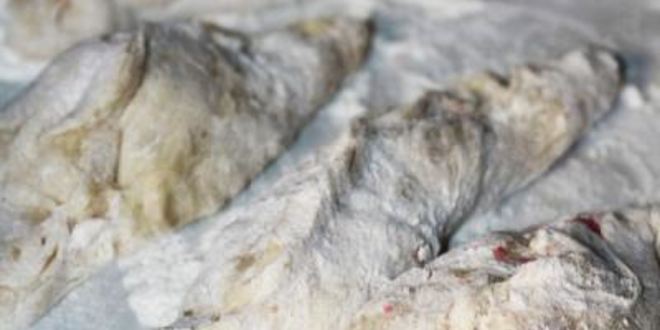 Рецепт вареников с малиной