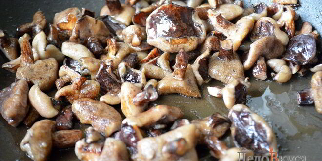 Рецепт жаркого по-домашнему с мясом и грибами