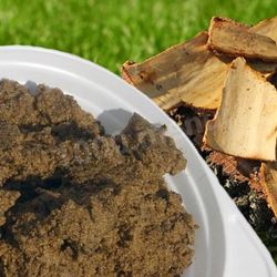 Рецепт Березовой каши