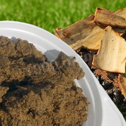 Рецепт Березовой каши