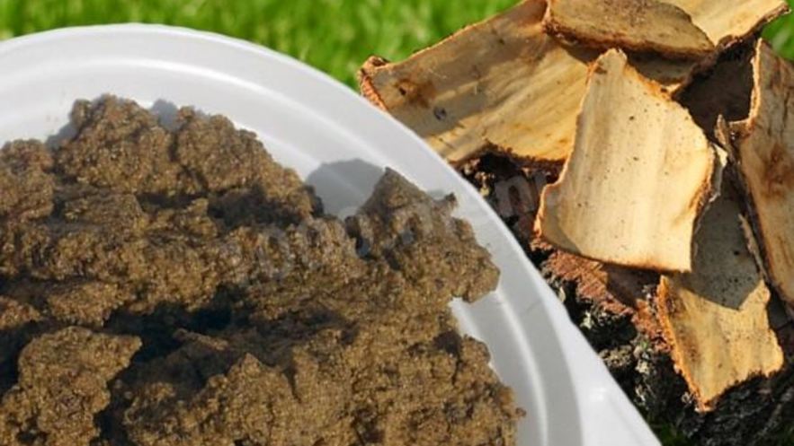 Рецепт березовой каши