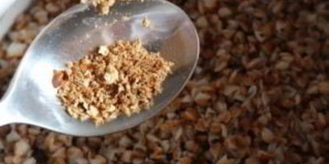 Рецепт гречки с лисичками и луком