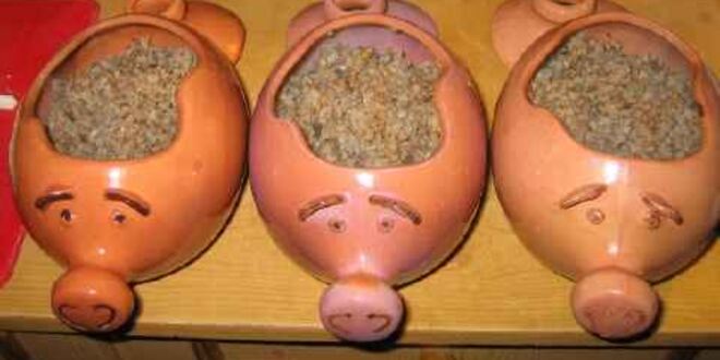 Рецепт каши гречневой с белыми грибами