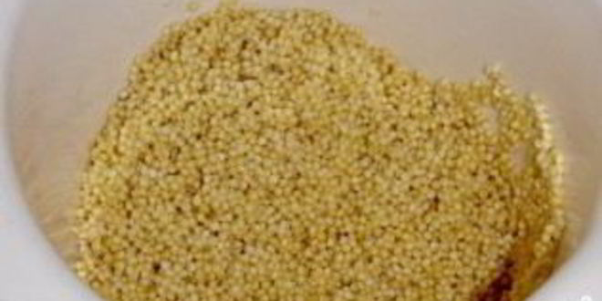 Рецепт каши с тыквой в горшочке