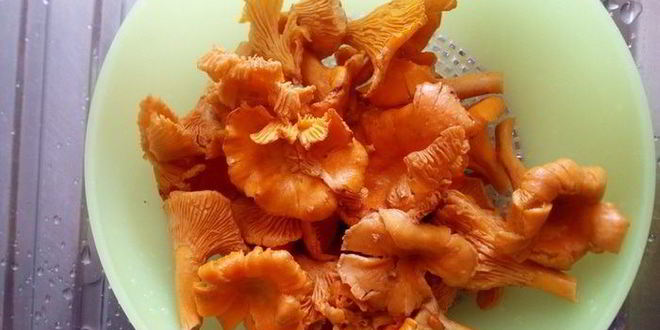 Рецепт поленты с лисичками в сливочном соусе