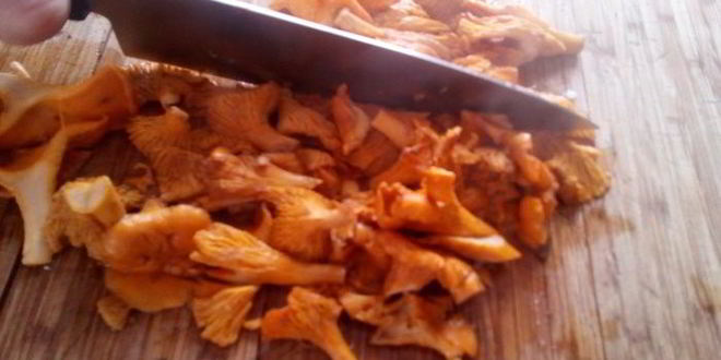 Рецепт поленты с лисичками в сливочном соусе