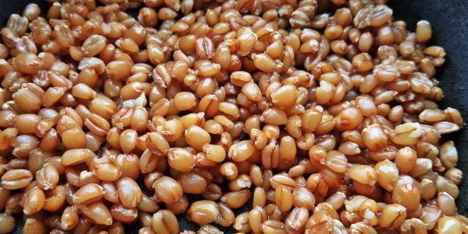 Рецепт рождественской кутьи из пшеницы