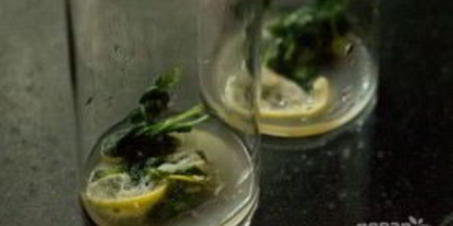 Рецепт безалкогольного коктейля на новый год