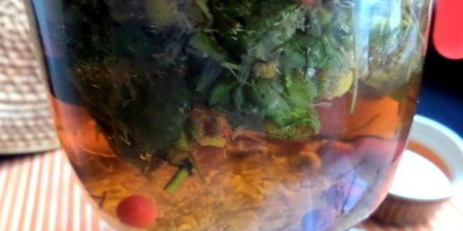 Рецепт бруснично-ромашкового чай с мятой