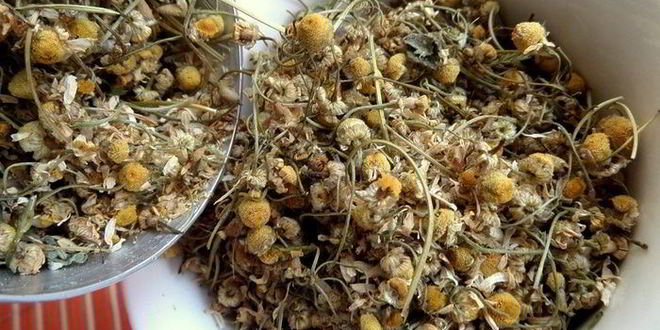 Рецепт бруснично-ромашкового чай с мятой