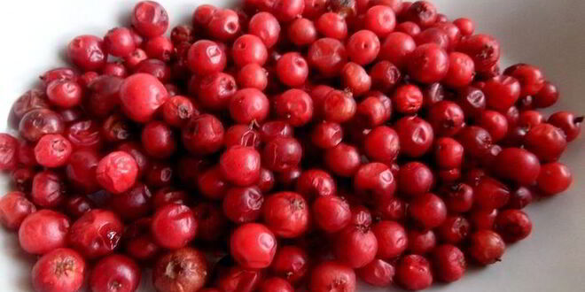 Рецепт бруснично-ромашкового чай с мятой