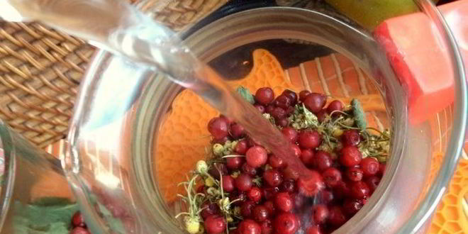 Рецепт бруснично-ромашкового чай с мятой