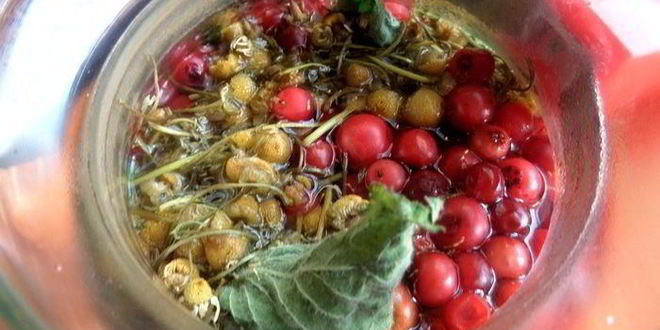 Рецепт бруснично-ромашкового чай с мятой