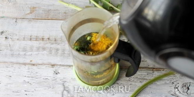 Рецепт чая из одуванчиков