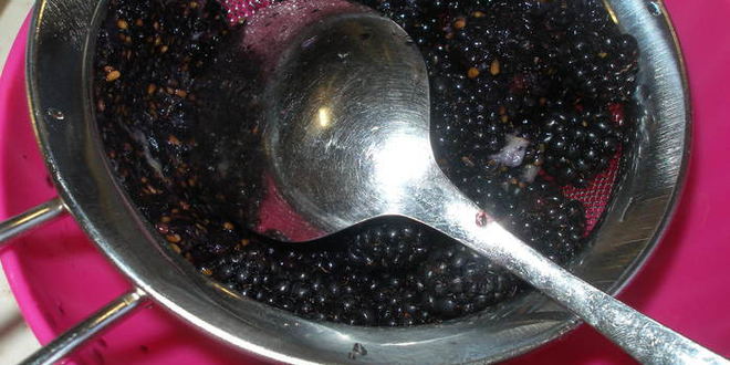 Рецепт ежевично-мятного холодный чай