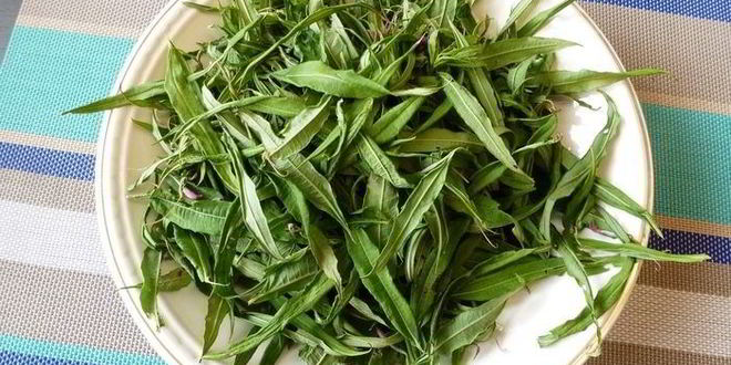 Рецепт копорского чая с травами