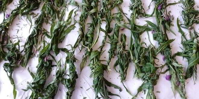 Рецепт копорского чая с травами