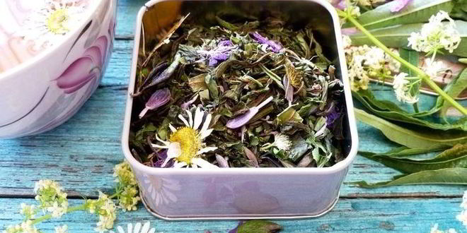 Рецепт копорского чая с травами