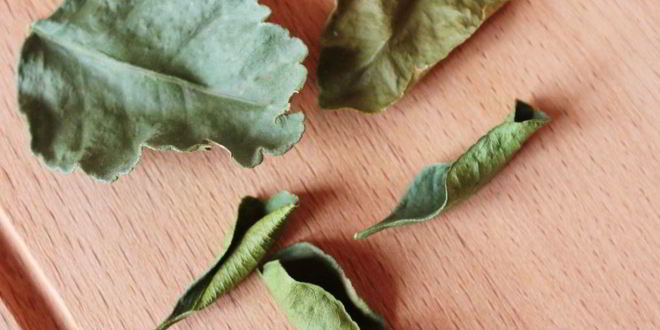 Рецепт мятного чая