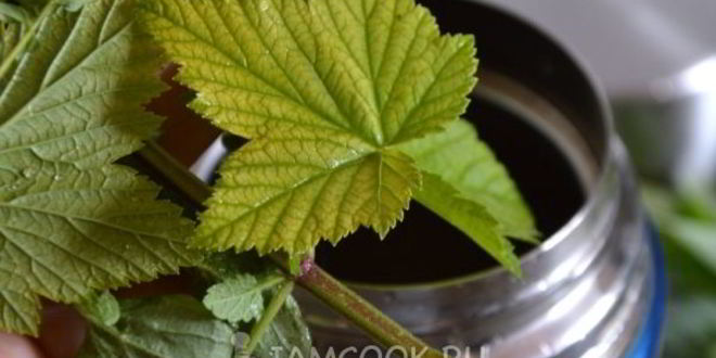 Рецепт травяного чая в термосе