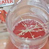 Рецепт Горячего клюквенного напитка с джином