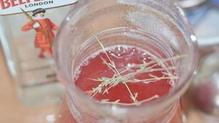 Рецепт горячего клюквенного напитка с джином