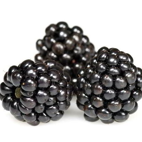 Рецепт Киселя из ежевики